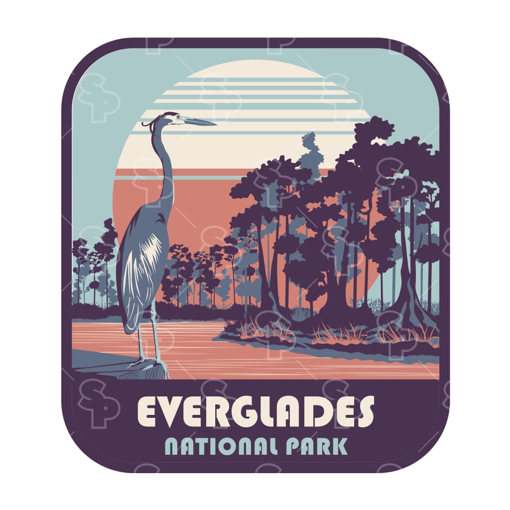 18121 - Rising Sun - Everglades