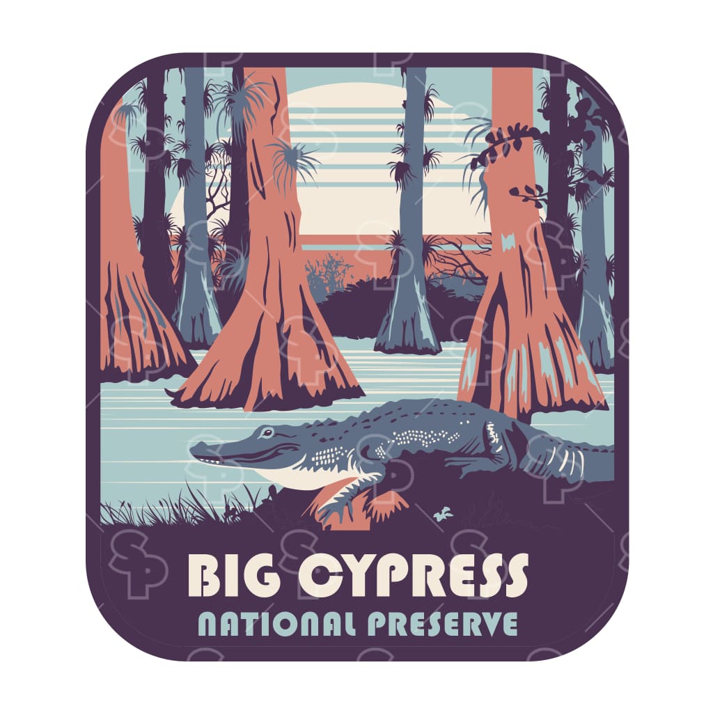 18123 - Rising Sun - Big Cypress