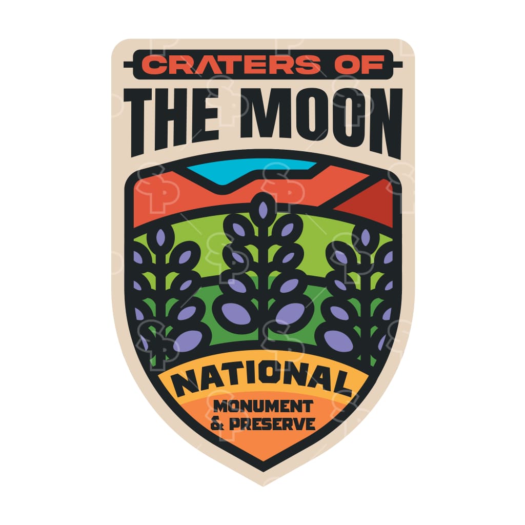 19155 - GE Rainbow - Flora - Lupine - Craters of the Moon