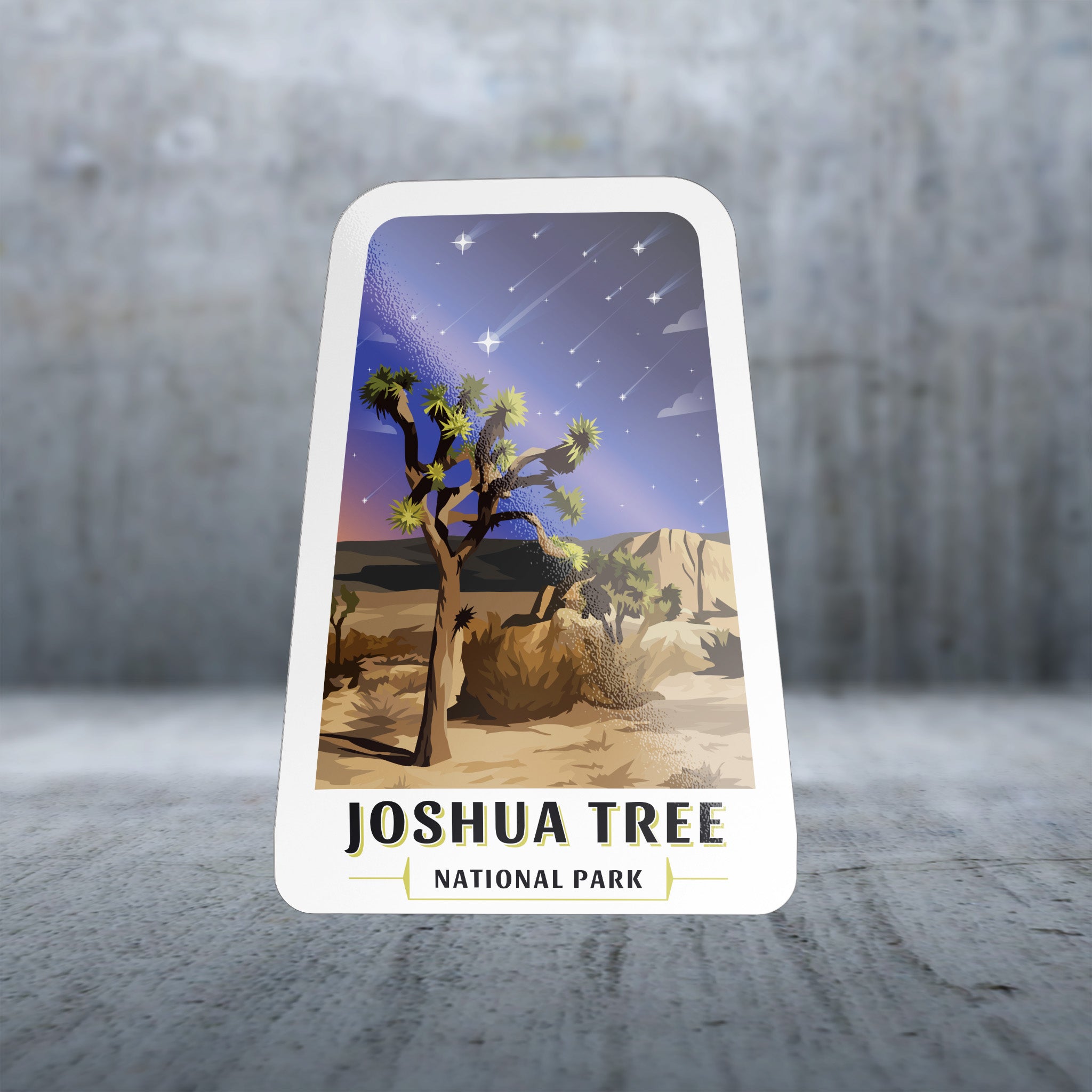 20358 - One Fine Day - Night Sky - Joshua Tree