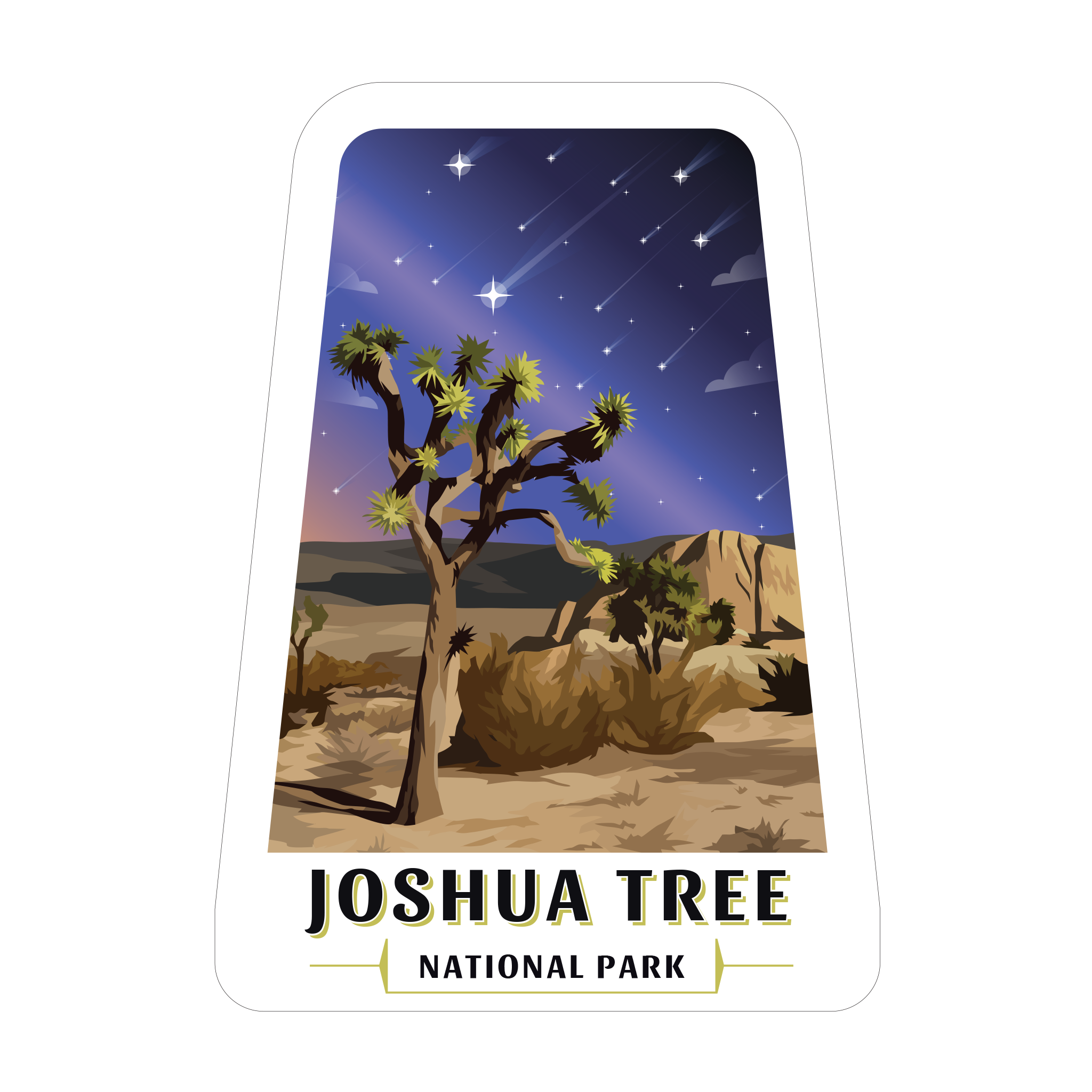 20358 - One Fine Day - Night Sky - Joshua Tree