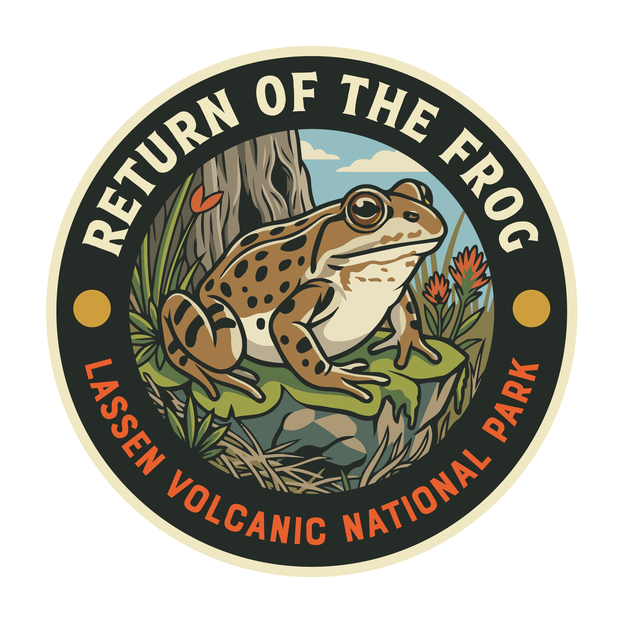 20400 - Return of the Frog - Lassen Volcanic National Park