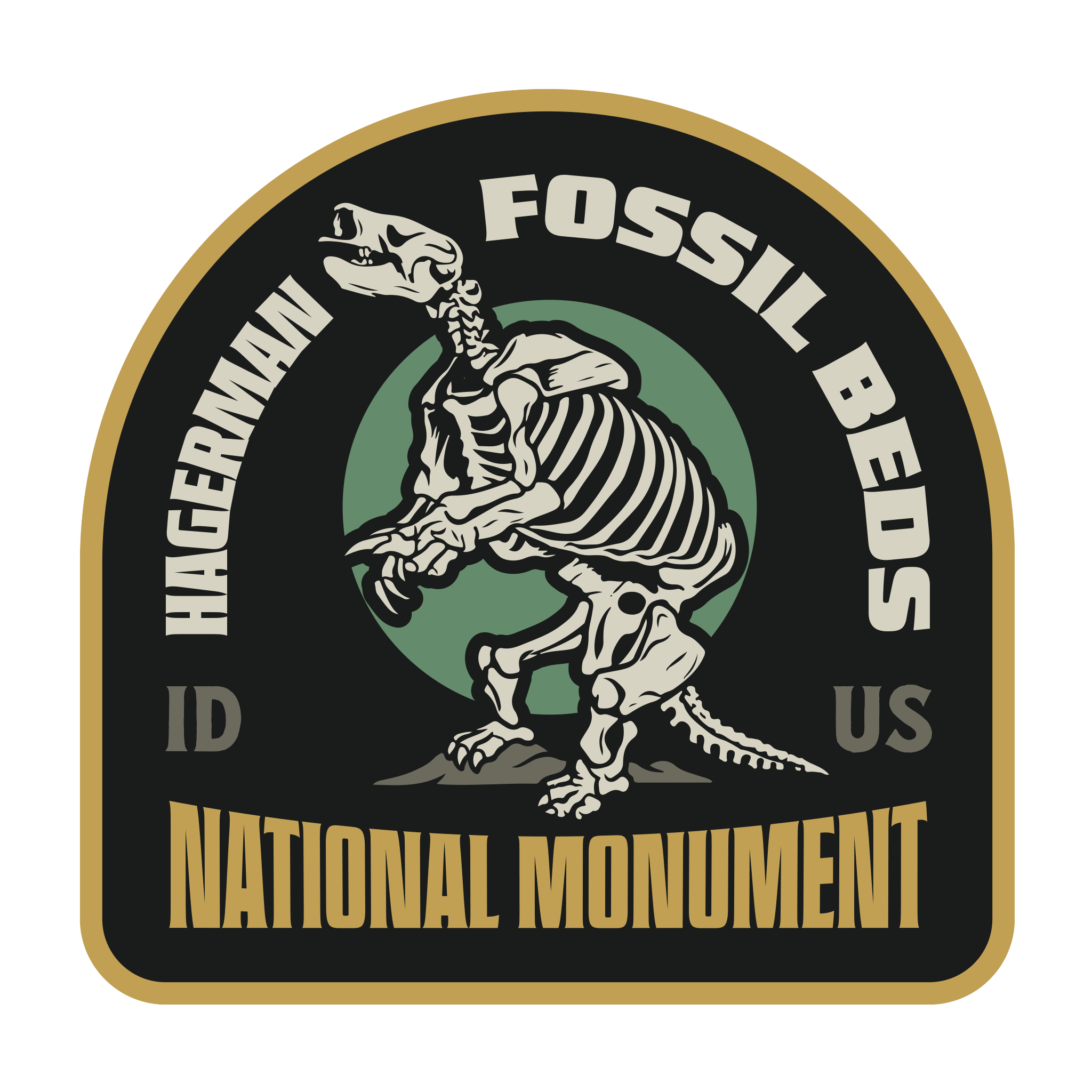20404 - Ground Sloth - Hagerman Fossil Beds National Monument