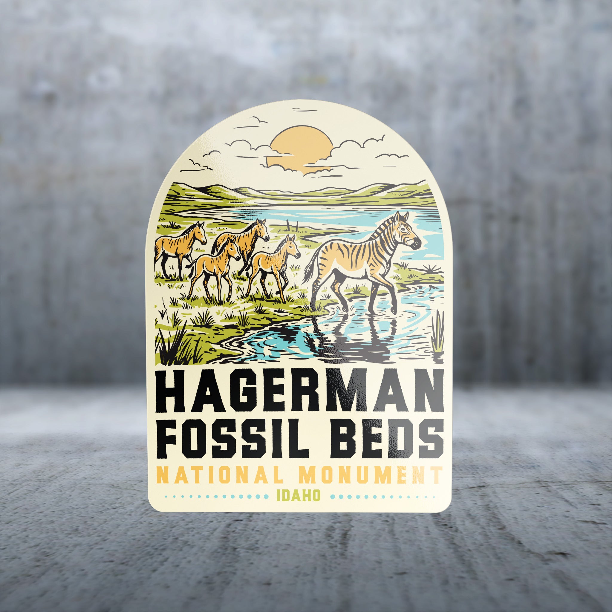 20412 - Zebra Coloring Book - Hagerman Fossil Beds National Monument