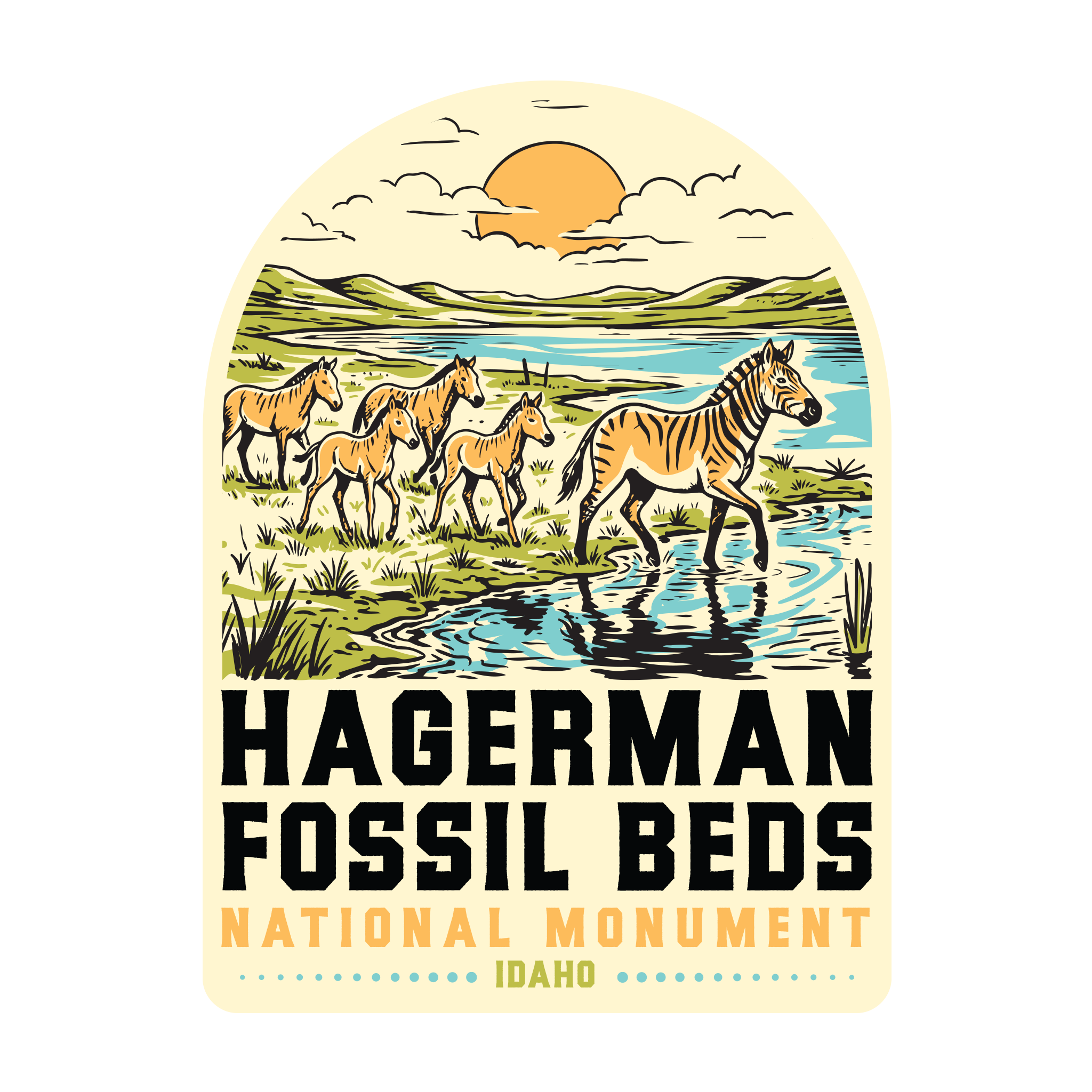 20412 - Zebra Coloring Book - Hagerman Fossil Beds National Monument