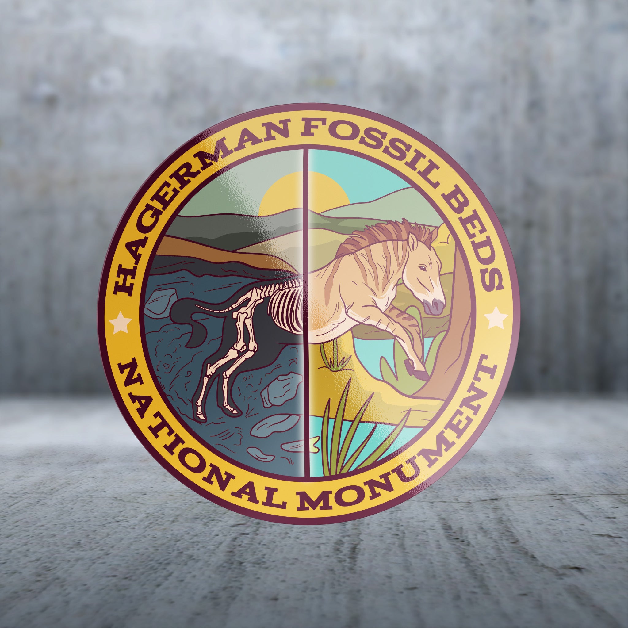 20417 - Zebra Life Cycle - Hagerman Fossil Beds National Monument