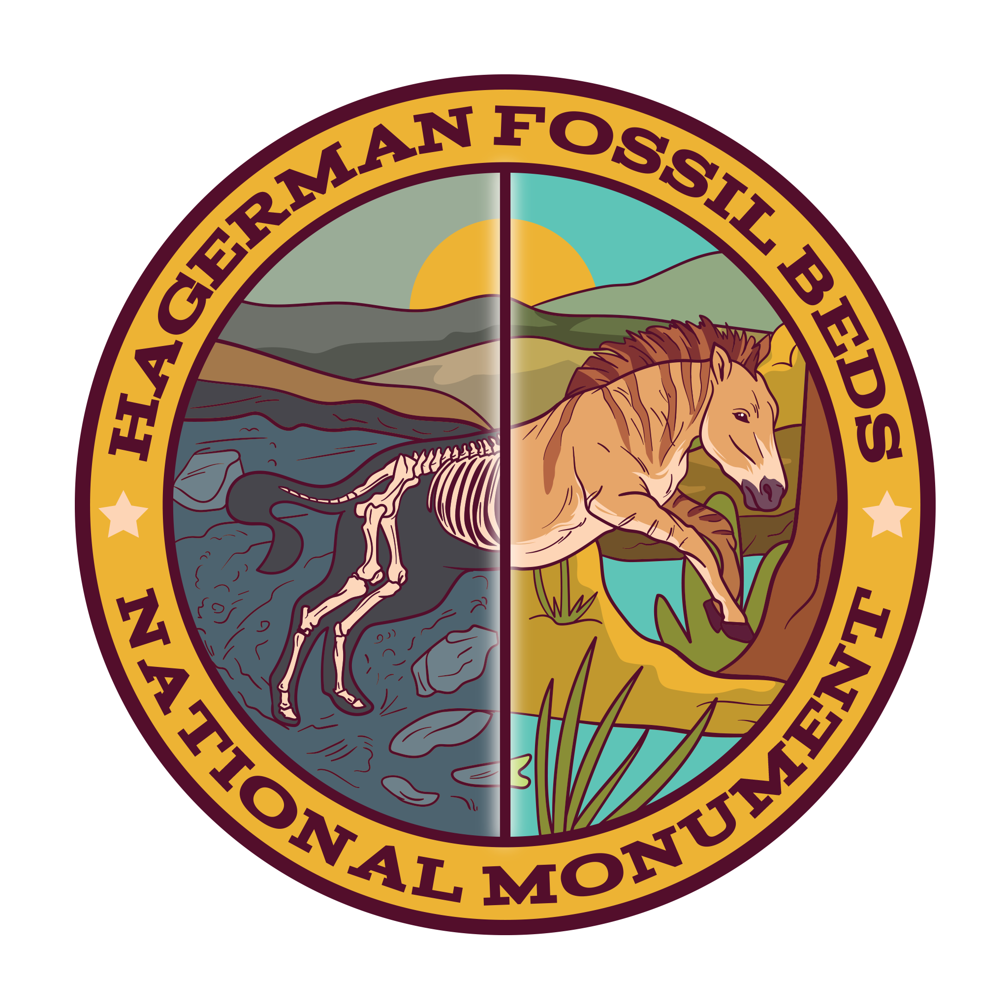 20417 - Zebra Life Cycle - Hagerman Fossil Beds National Monument