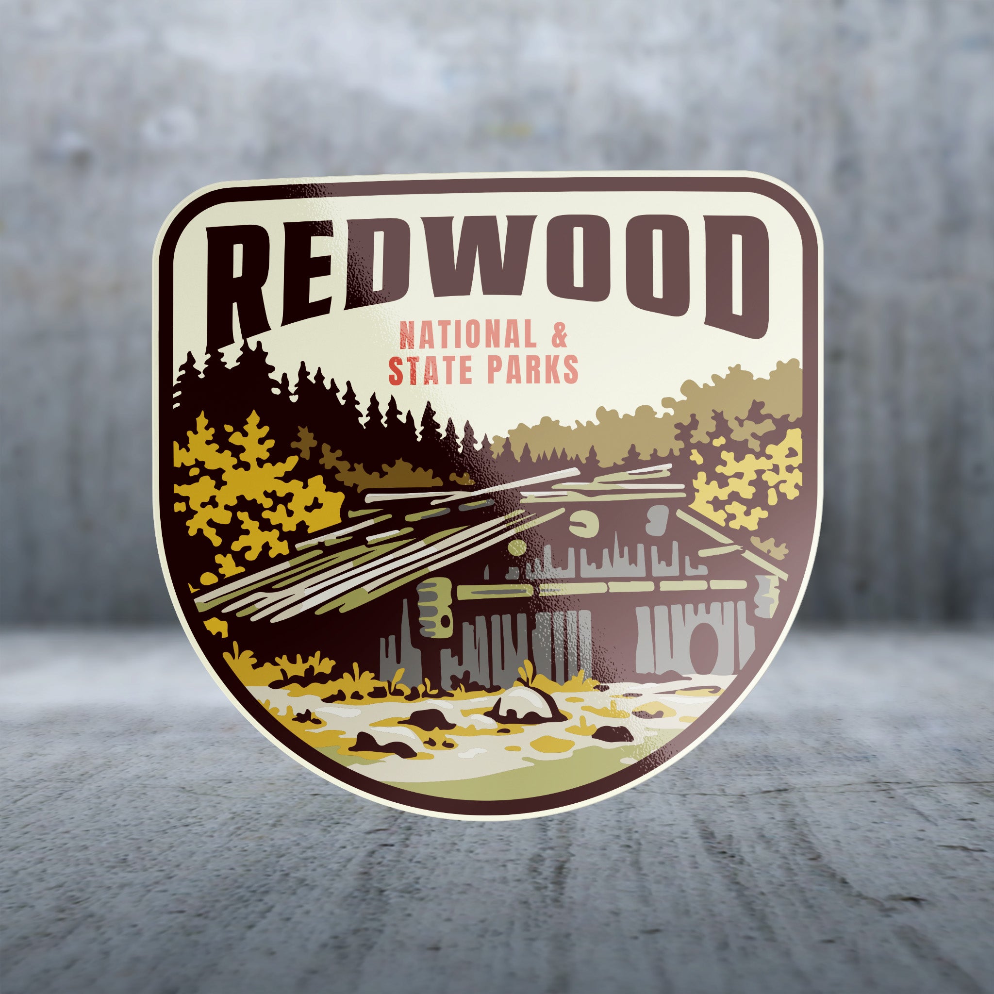 20422 - Cabin Hues - Redwood National and State Parks
