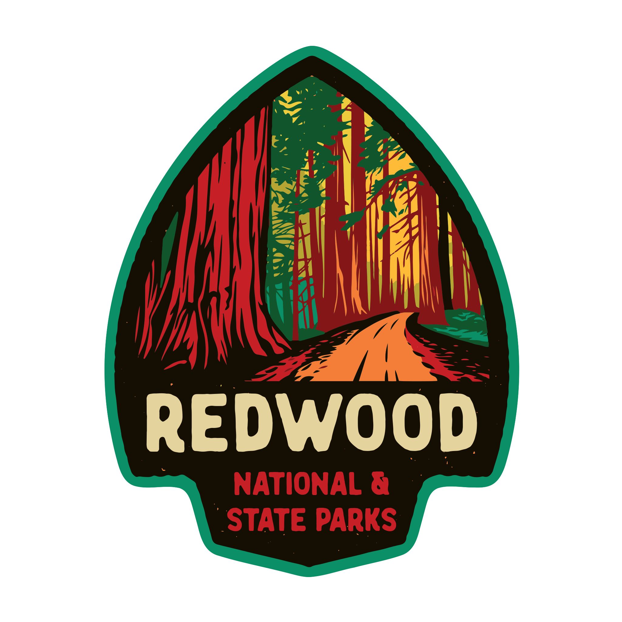 20426 - Green Arrowhead - Redwood National and State Parks