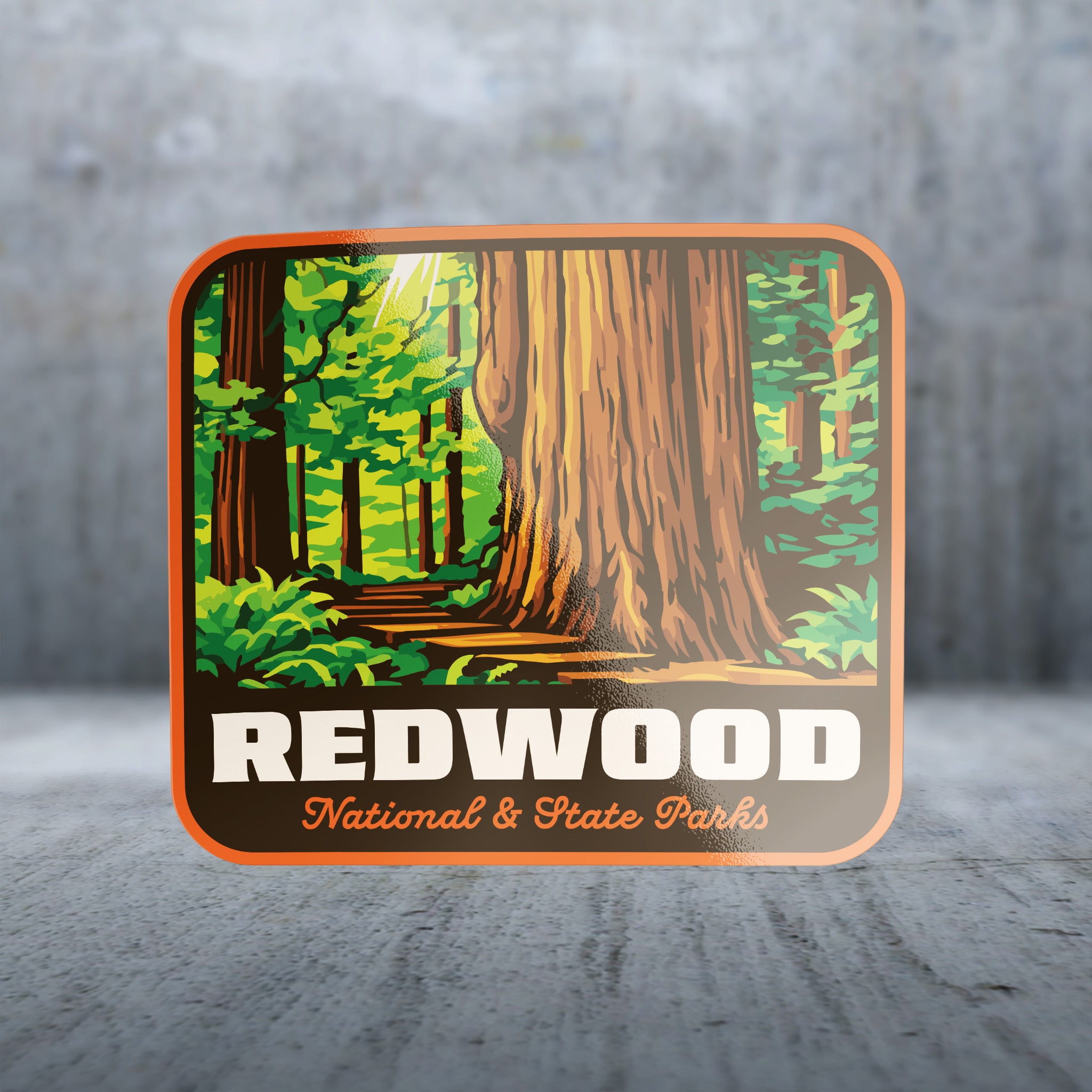 20427 - Golden Tree Trunks - Redwood National and State Parks