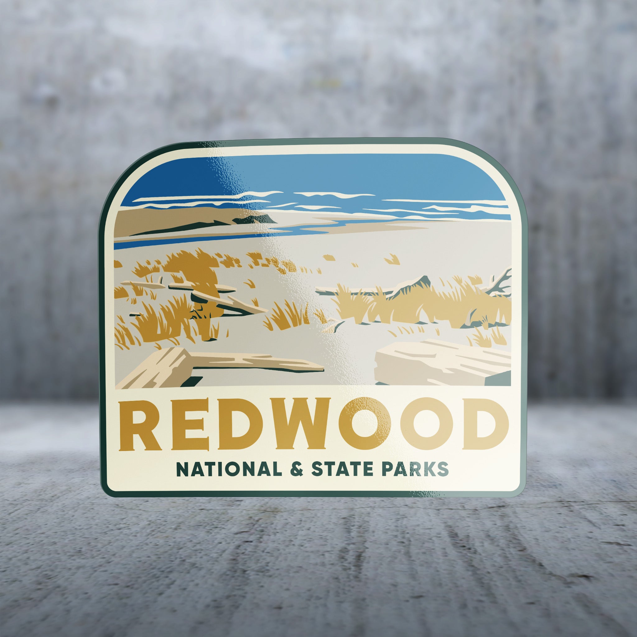 20432 - Sandy Scene - Redwood National and State Parks