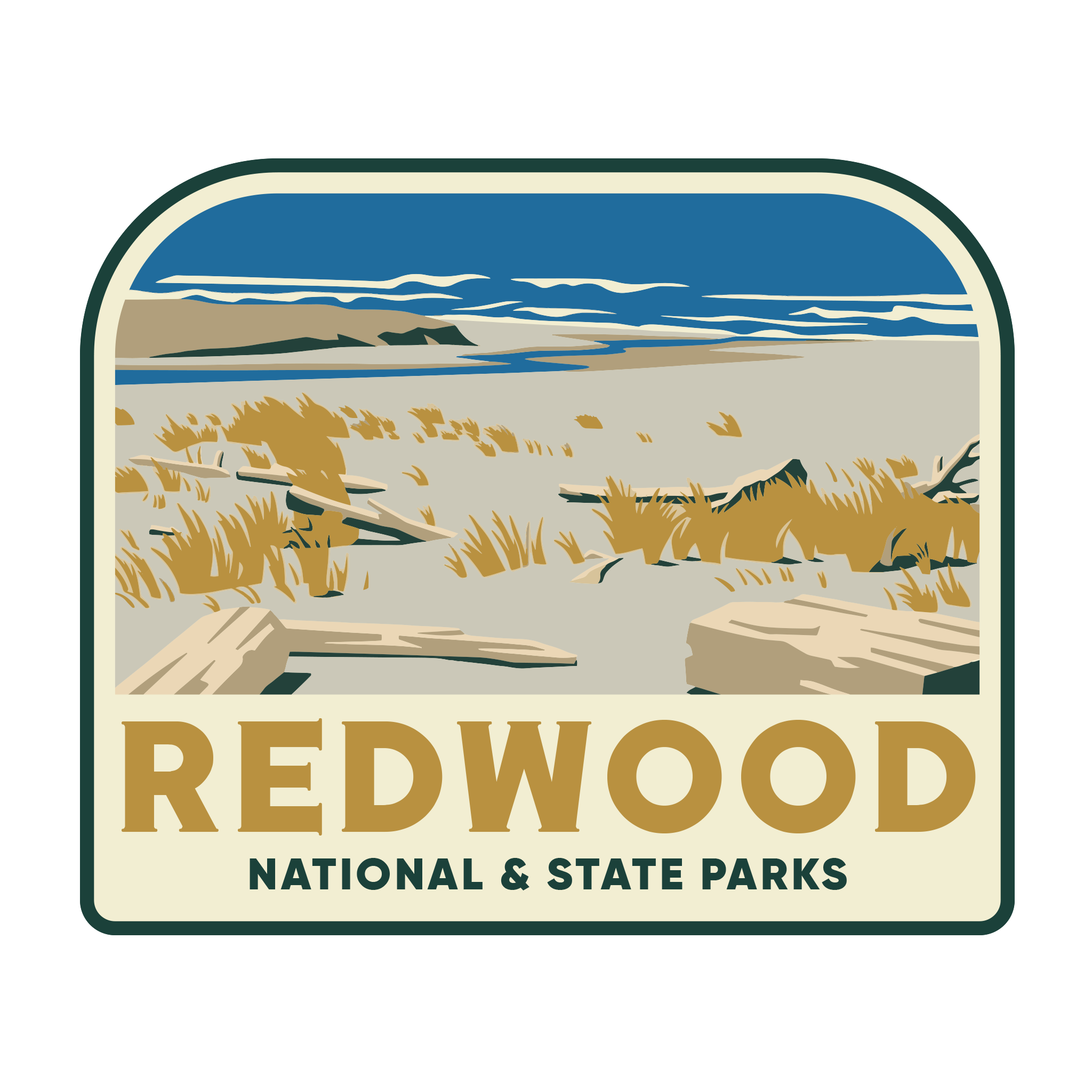 20432 - Sandy Scene - Redwood National and State Parks