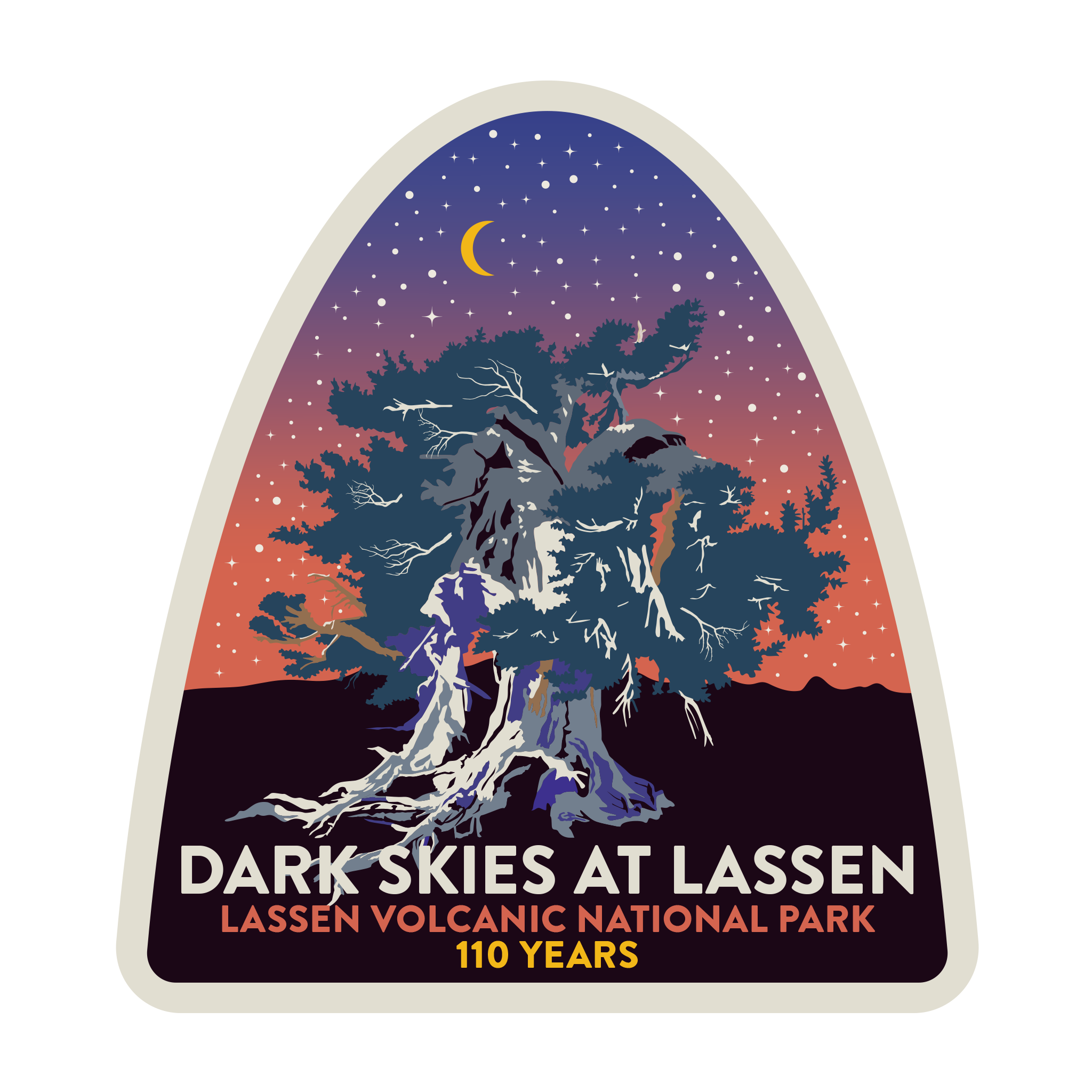 20553 - Fluid Night Sky - Lassen Volcanic - Night Sky