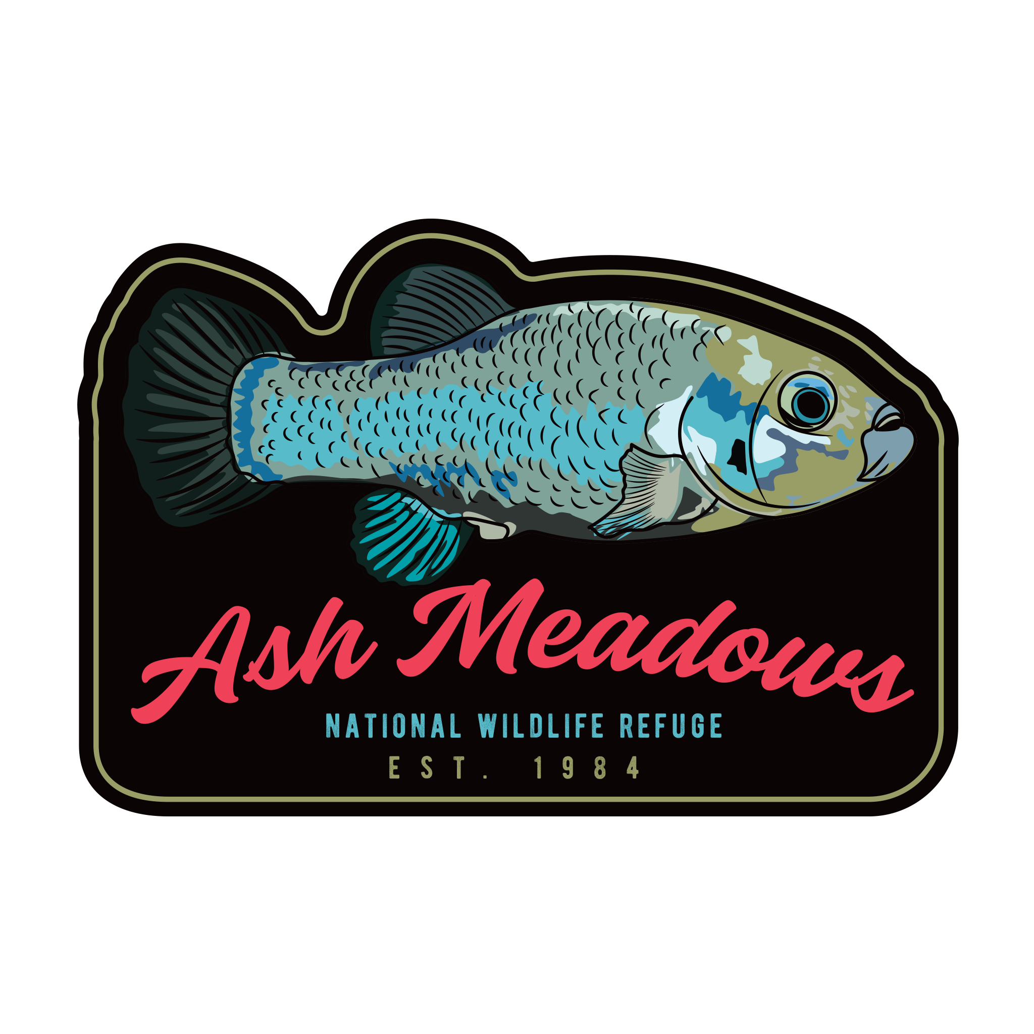 20567 - Vector Color Splotches - Devils Hole Pupfish