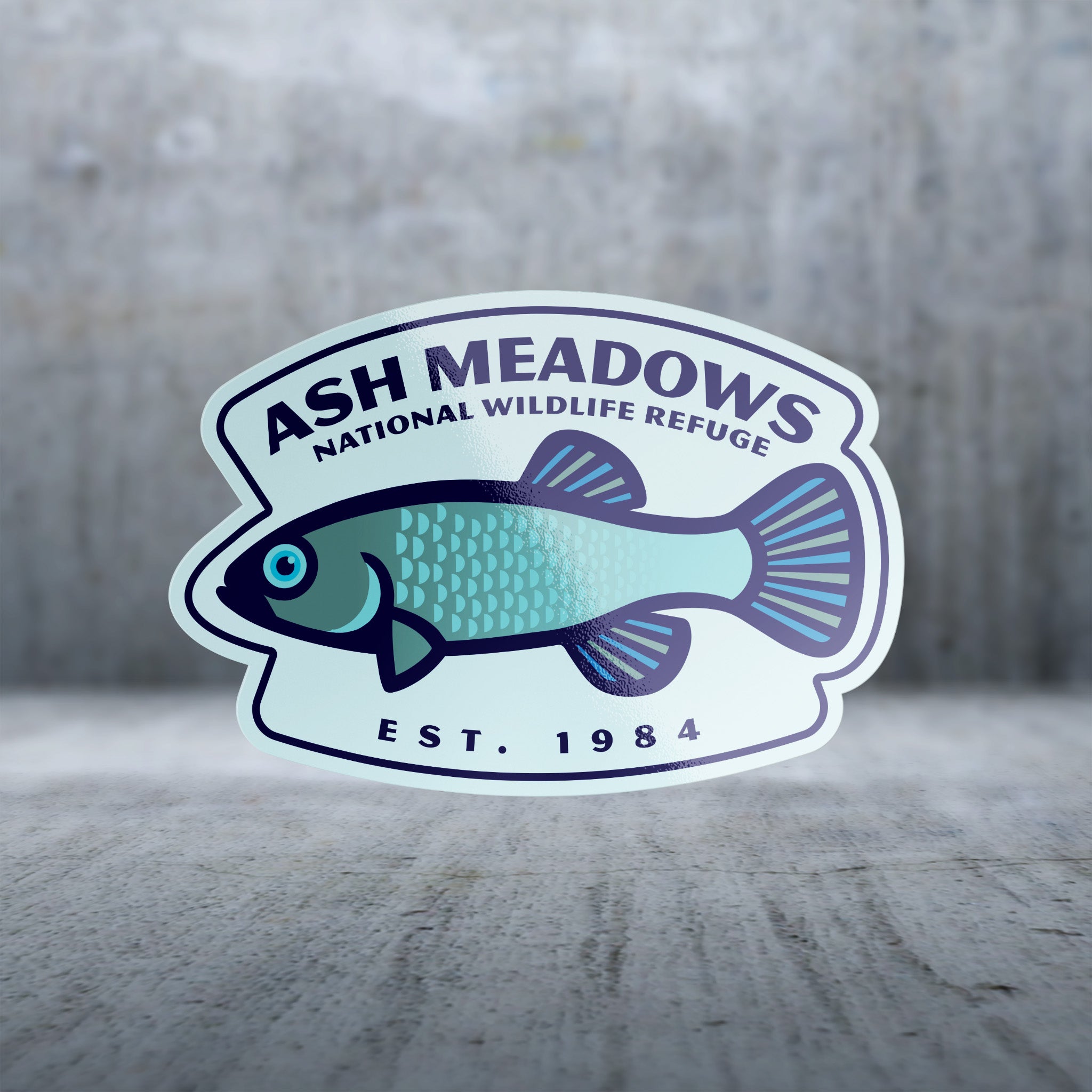20568 - Bold Shapes and Lines - Devils Hole Pupfish