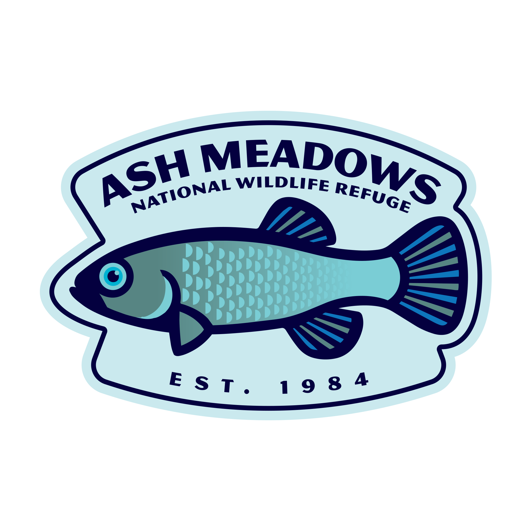 20568 - Bold Shapes and Lines - Devils Hole Pupfish