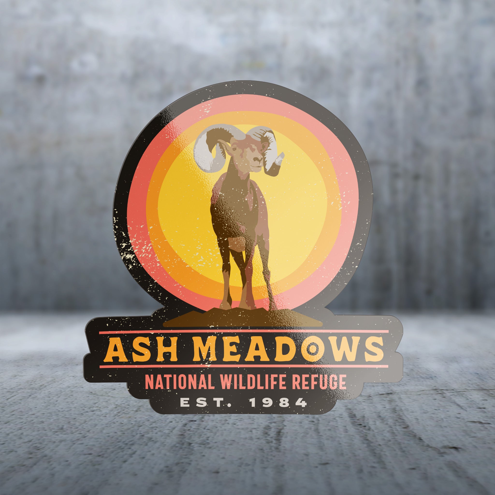 20575 - Sun Aura Circles - Bighorn Sheep