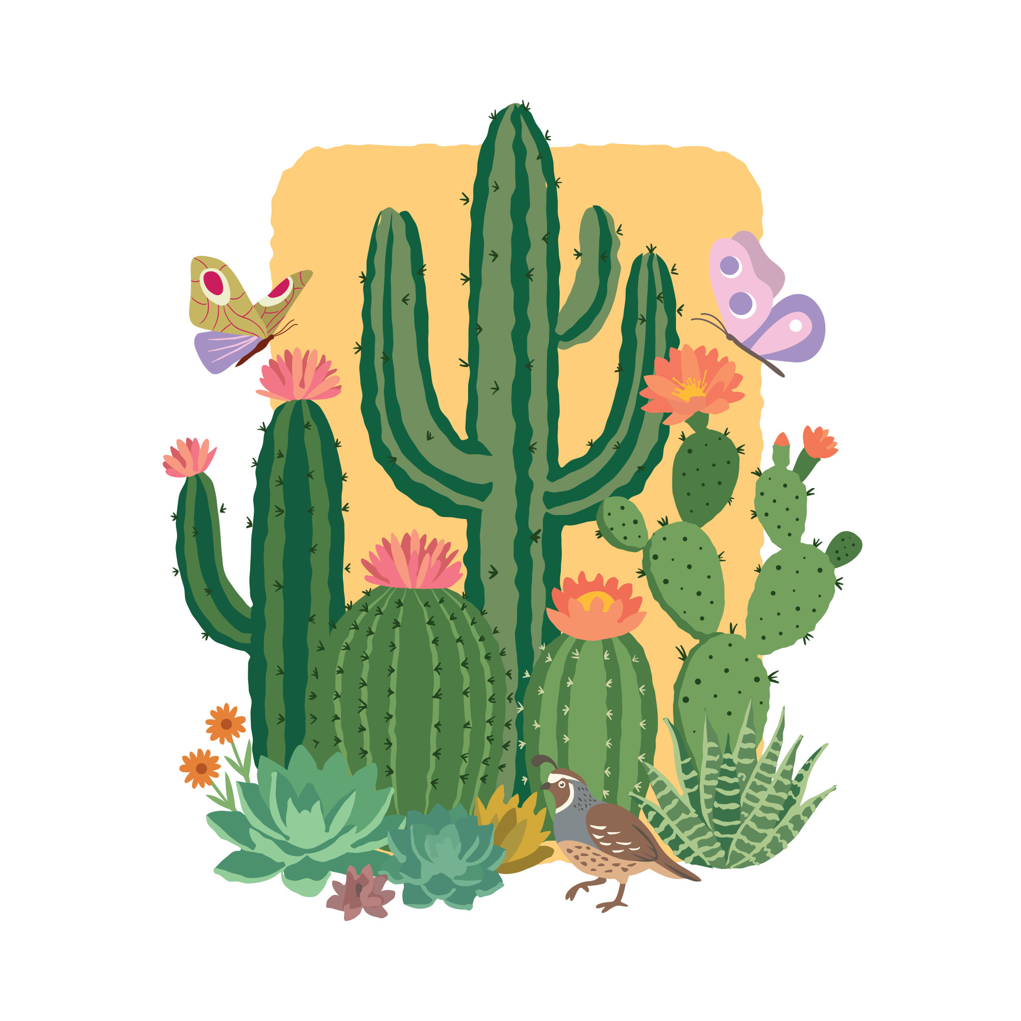 20680 - Flora and Fauna - Cactus and Quail