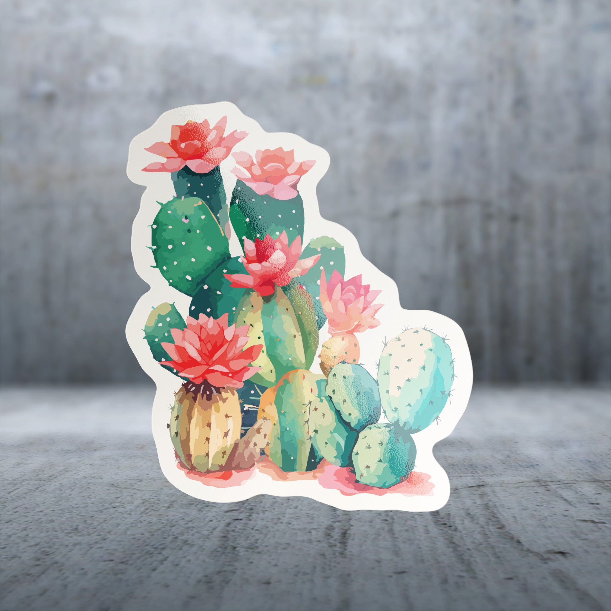 20686 - Colorful Shading - Cactus Blooms