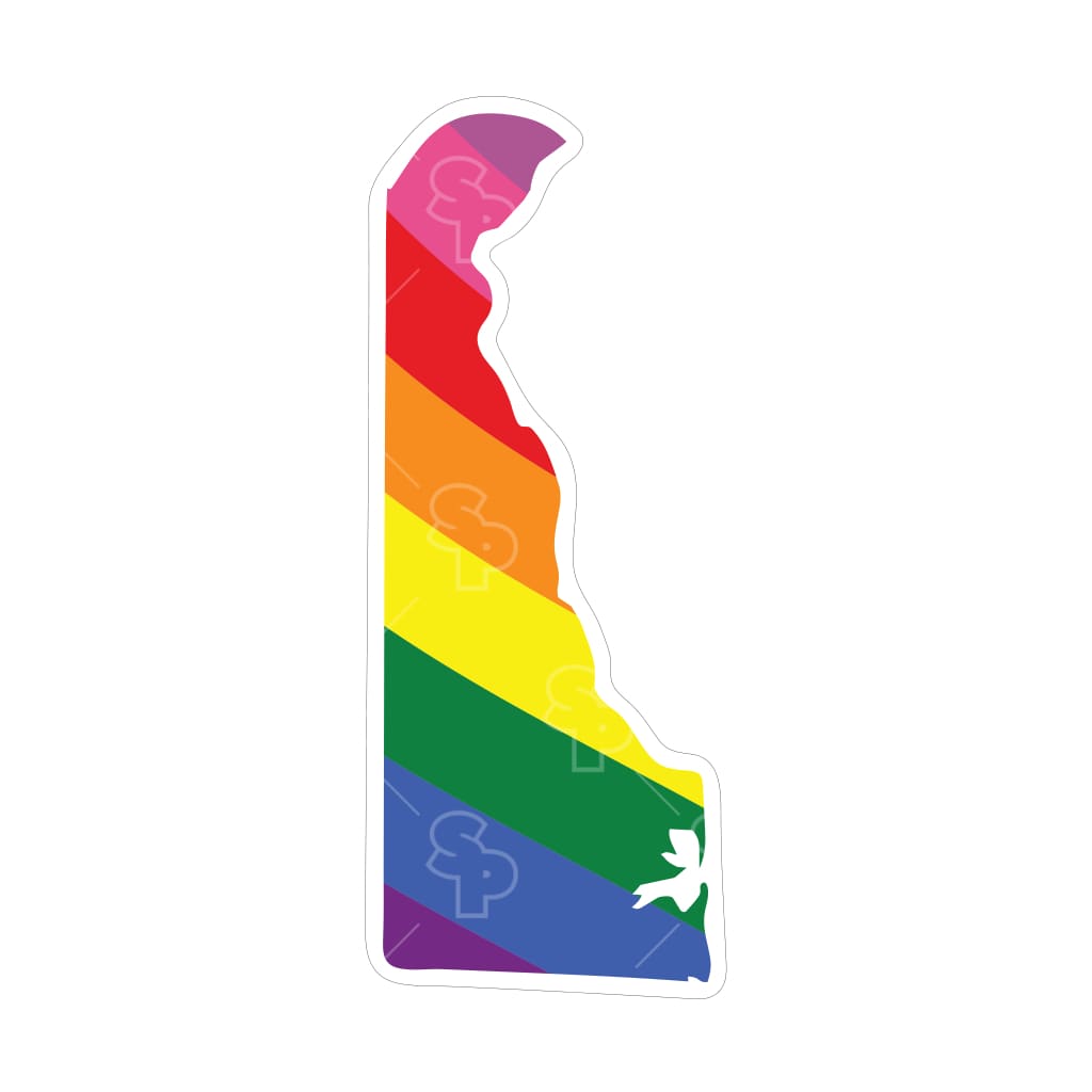 2469 - State Pride Delaware