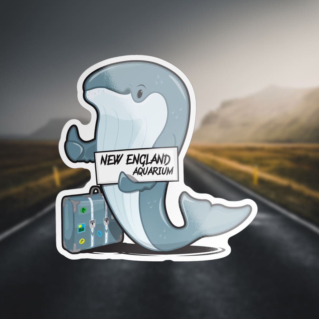 255 - Hitchhiker Whale