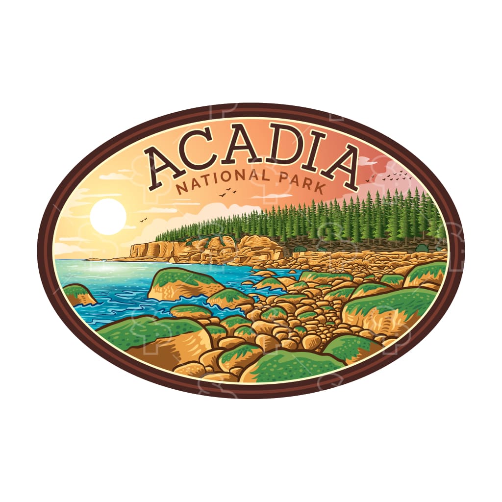 2569 - Vivid Parks Acadia