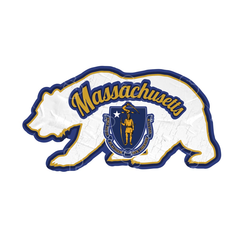 2865 - State Bears Massachusetts