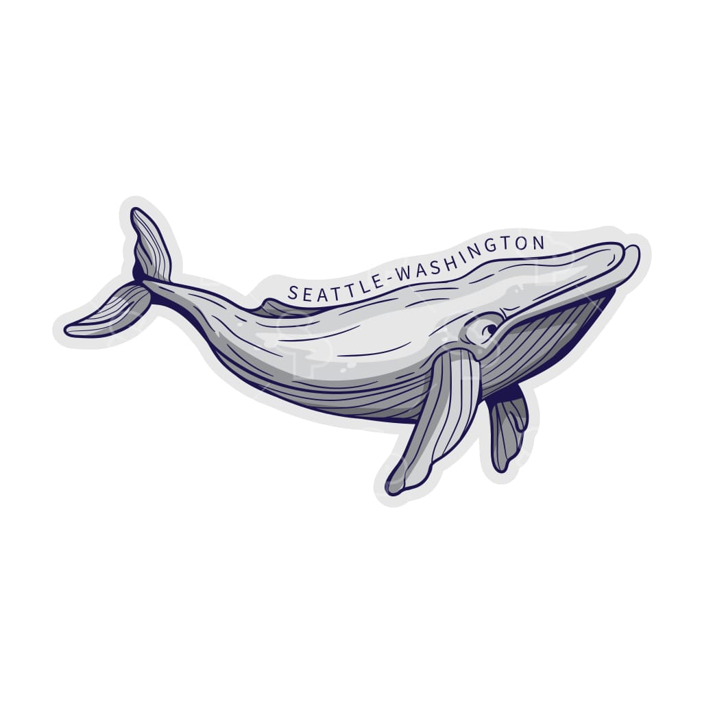 4374 - Humpback Whale Grayness