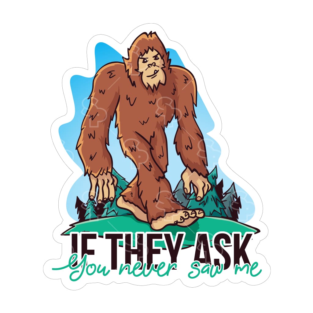 5708 - Big Foot - You Never Saw Me