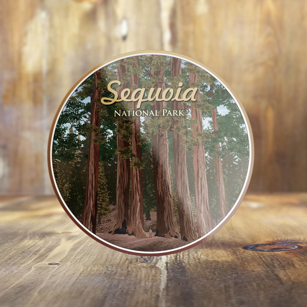 619 - Lines Sequoia