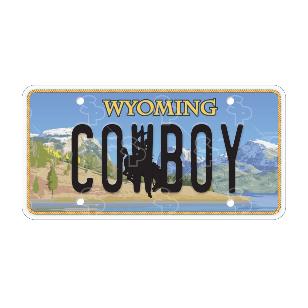 678 - Plates Wyoming