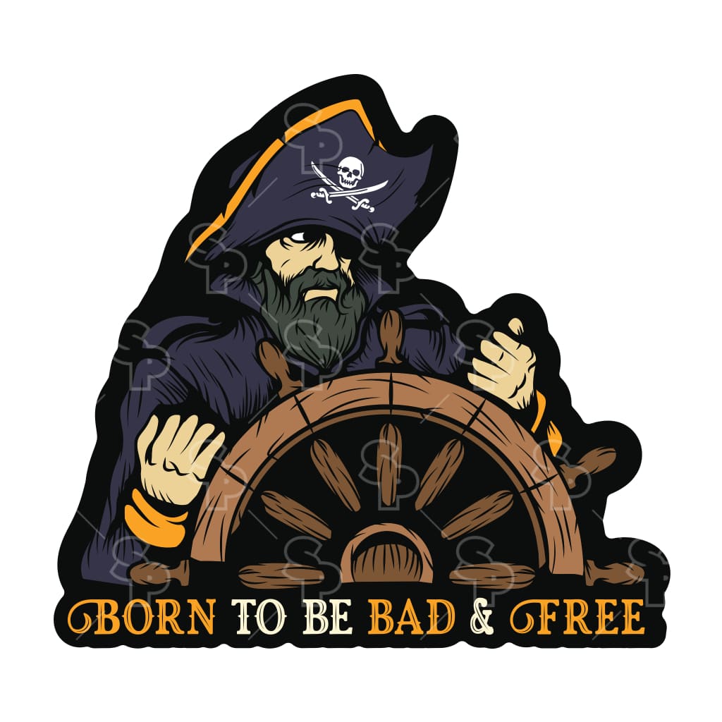 7565 - Captain Black Beard Pirates