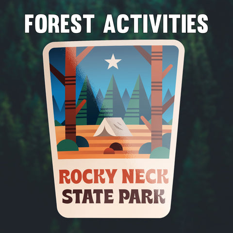 Forest Activities