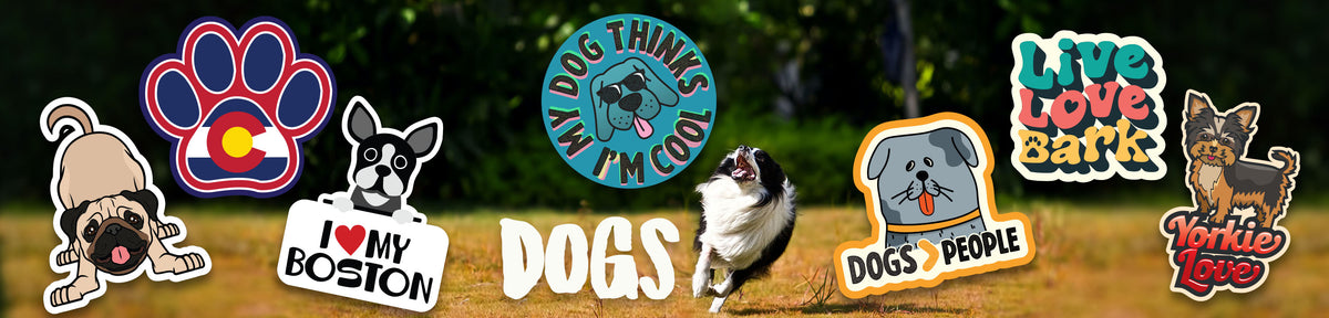 Dogs